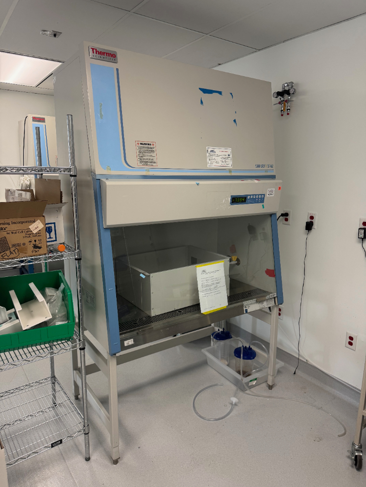 Image of Thermo 1300 Series A2 4' BioSafety Cabinet